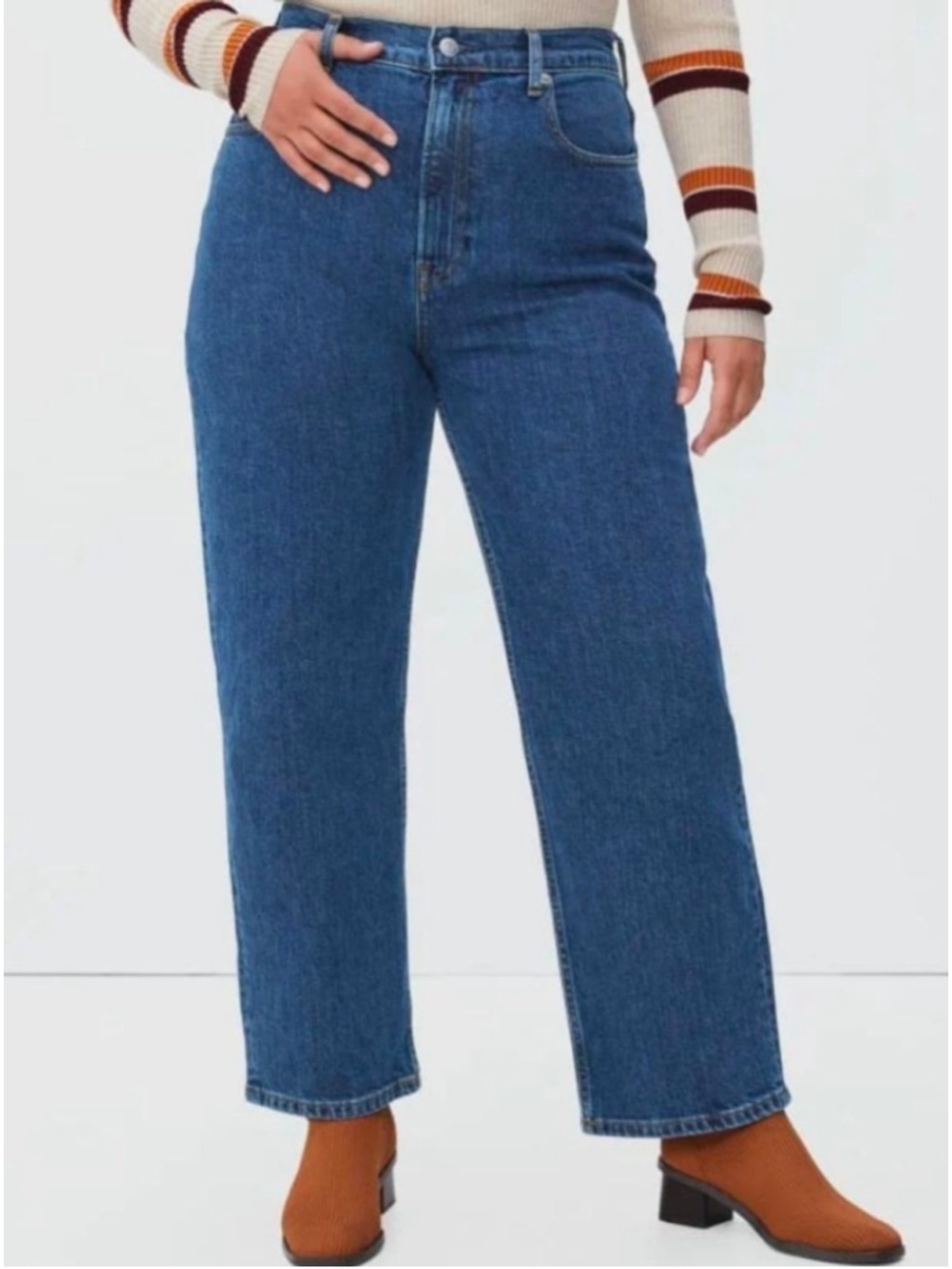 Everlane The Way-High Jean Size 33